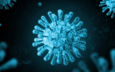 Corona Schutzmaßnahmen